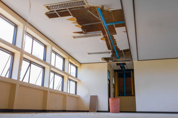 Best Fire Damage Restoration  in Slidell, LA