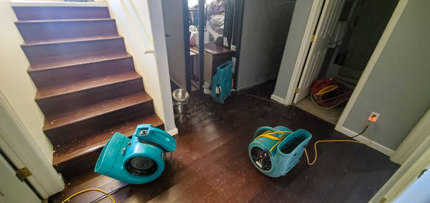  Slidell, LA Water damage restoration Pros