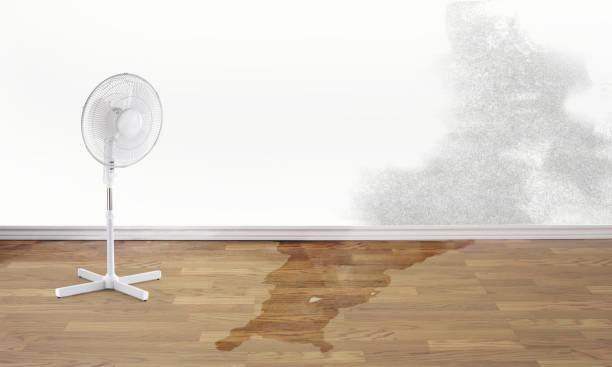 Best Flooded house restoration  in Slidell, LA