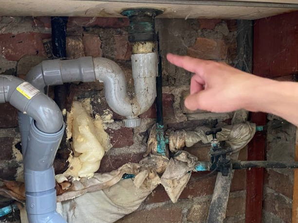 Best Mold removal after water damage  in Slidell, LA